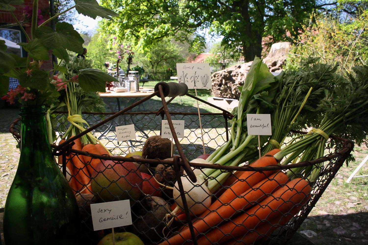 Wild and Root food studio Berlin