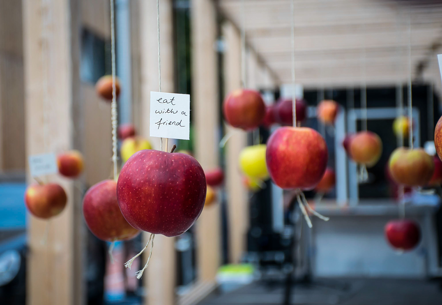 Wild and Root Eventagentur Food Installation Berlin