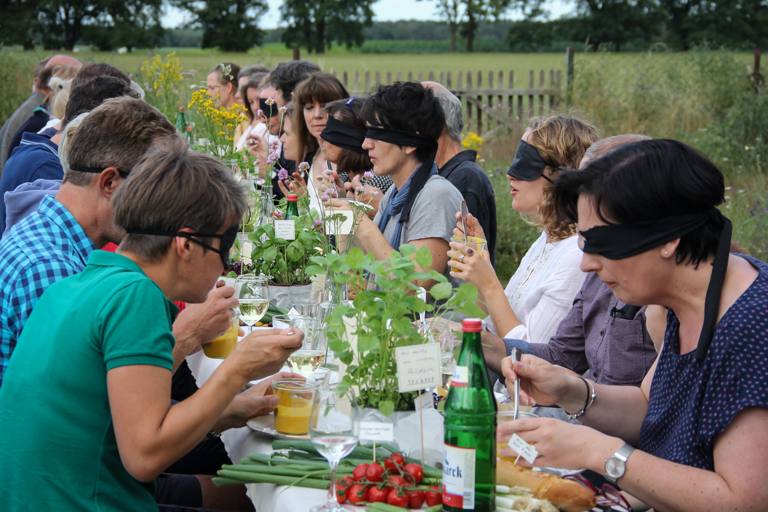 Wild and Root Blind Tasting Berlin